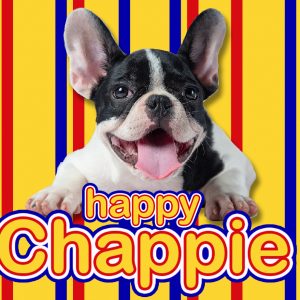Happy Chappie